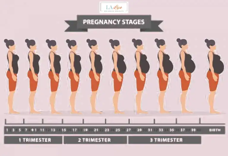 First Trimester (Weeks 1–12): Early Changes You Might Not Notice Notting Hill